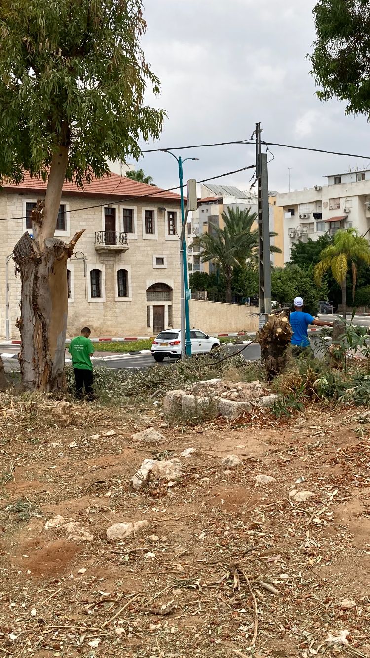 WhatsApp Image 2021-10-02 at 10.31.18 AM (1).jpeg